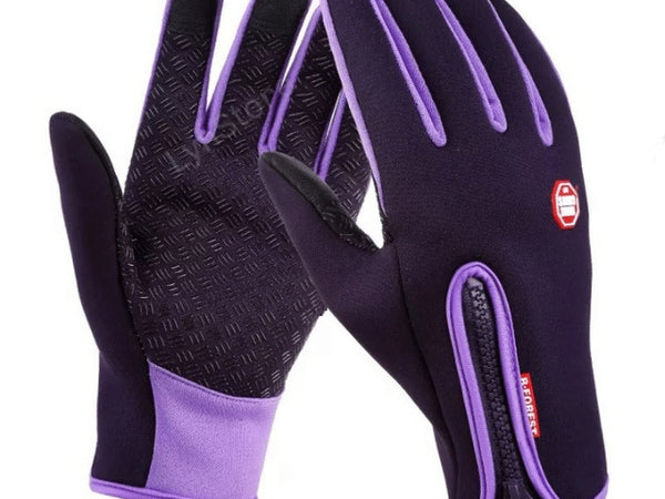 Winter Gloves Touch Screen Riding Motorcycle Sliding Waterproof Sports Gloves With Fleece - Iron Phoenix GHG