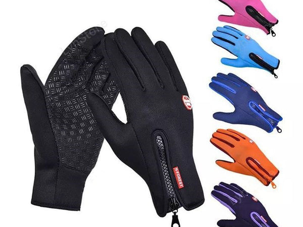 Winter Gloves Touch Screen Riding Motorcycle Sliding Waterproof Sports Gloves With Fleece - Iron Phoenix GHG