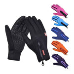 Winter Gloves Touch Screen Riding Motorcycle Sliding Waterproof Sports Gloves With Fleece - Iron Phoenix GHG