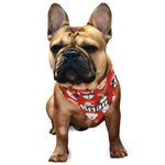 Personalized Christmas Dog Bandana - Cartoon Dogs Flat Lay | Our Phoenix Rise