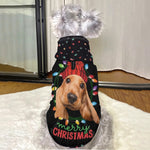 Personalized Dog Christmas Hoodie - Close-up of dog wearing it, front, with sample pet photo | Our Phoenix Rise