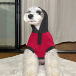 Christmas Pet Santa Hoodie - Back view on cat showing black hood | Our Phoenix Rise