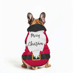 Christmas Pet Santa Hoodie - Close-up of Santa gnome face and hat detail | Our Phoenix Rise