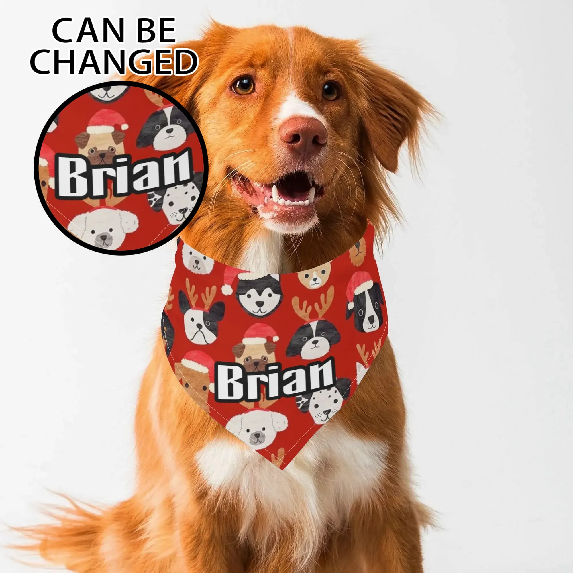 Custom Name Christmas Dog Bandana