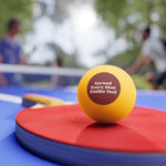 Ping Pong Balls — "Earned Every Shot (Unlike You)" 6-Pack
