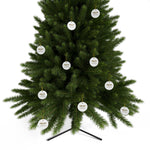 Green Christmas tree with decorative tags on a white background