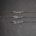 Personalized Pet Name Necklace with Paw Heart - Gold, Silver, Rose Gold group shot | Our Phoenix Rise