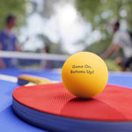 Sarcastic Beer Pong Balls - "Game On Bottoms Up"