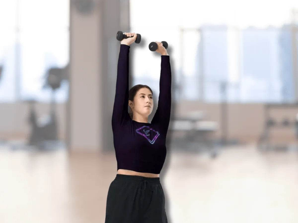 Soaring Bird Long Sleeve Rash Guard | Iron Phoenix - Iron Phoenix GHG