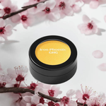 Sugar High Eyeshadow Palette (Vegan) Bold Gamer Looks - Iron Phoenix GHG